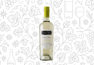 SANTA EMA Sauvignon Blanc