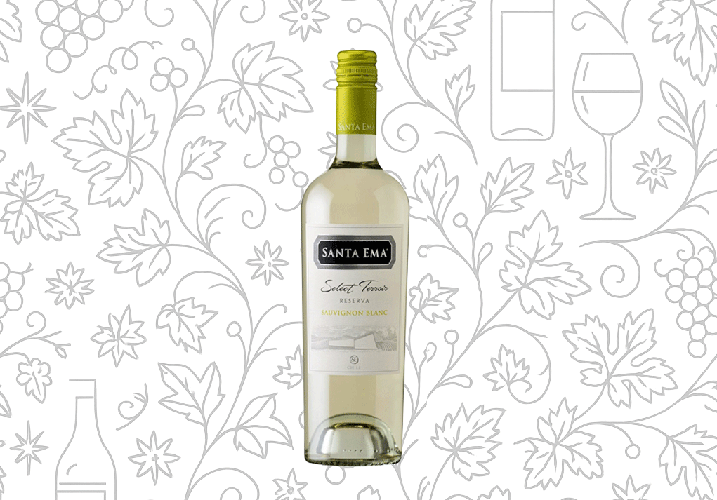 SANTA EMA Sauvignon Blanc